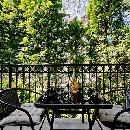 In Patio 예라타