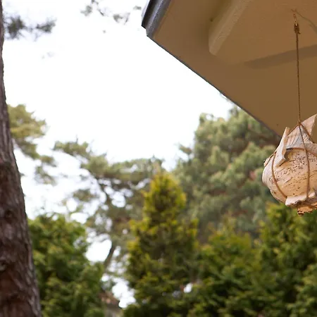 In Patio アパート *