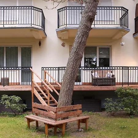 In Patio * ユラタ